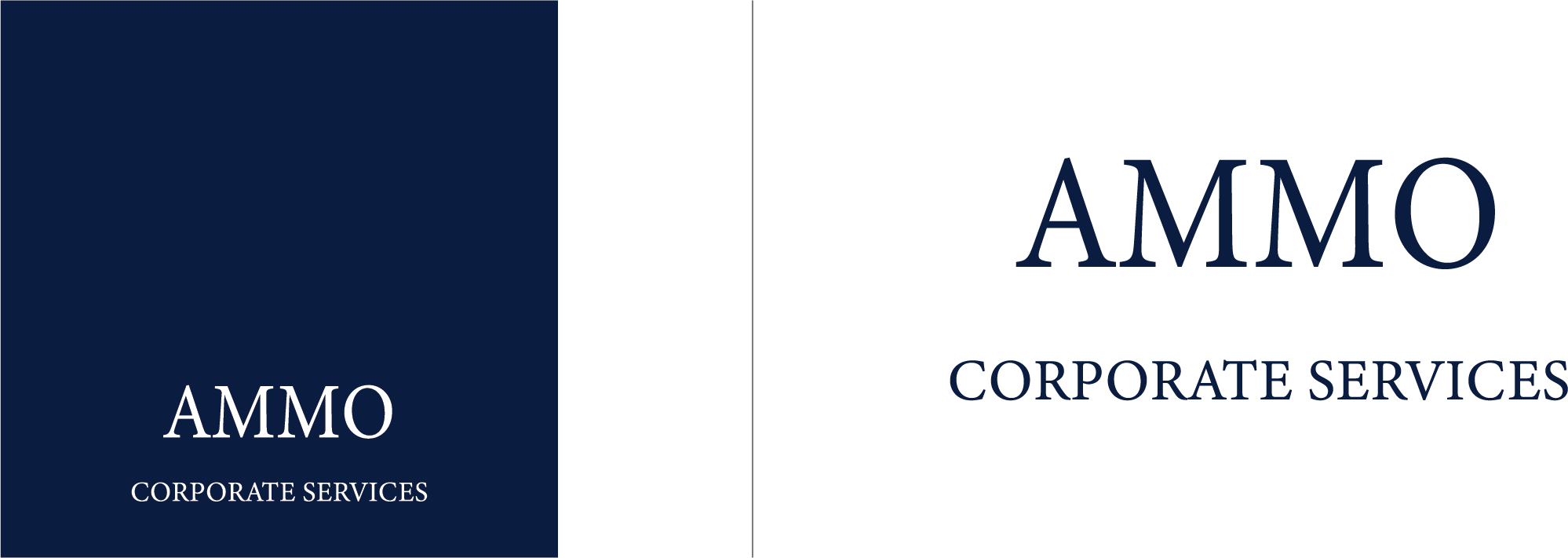AMMO Group – Hong Kong ESG and Corporate Governance Advisory
